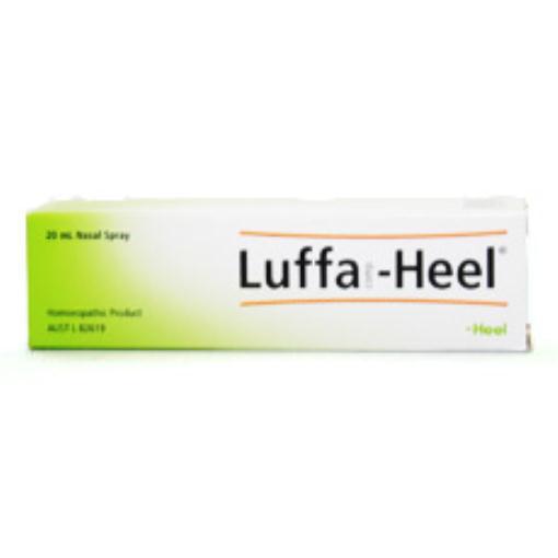 Heel Luffa Comp Nasal Spray