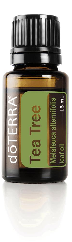 doTERRA Single Oil Tea Tree